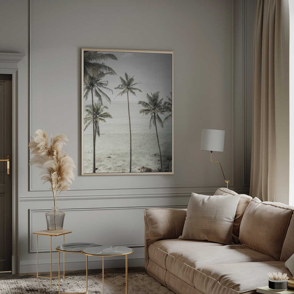 Tropical Dreams