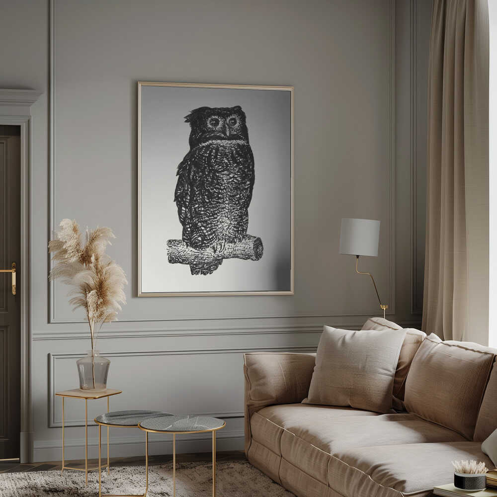 Owl