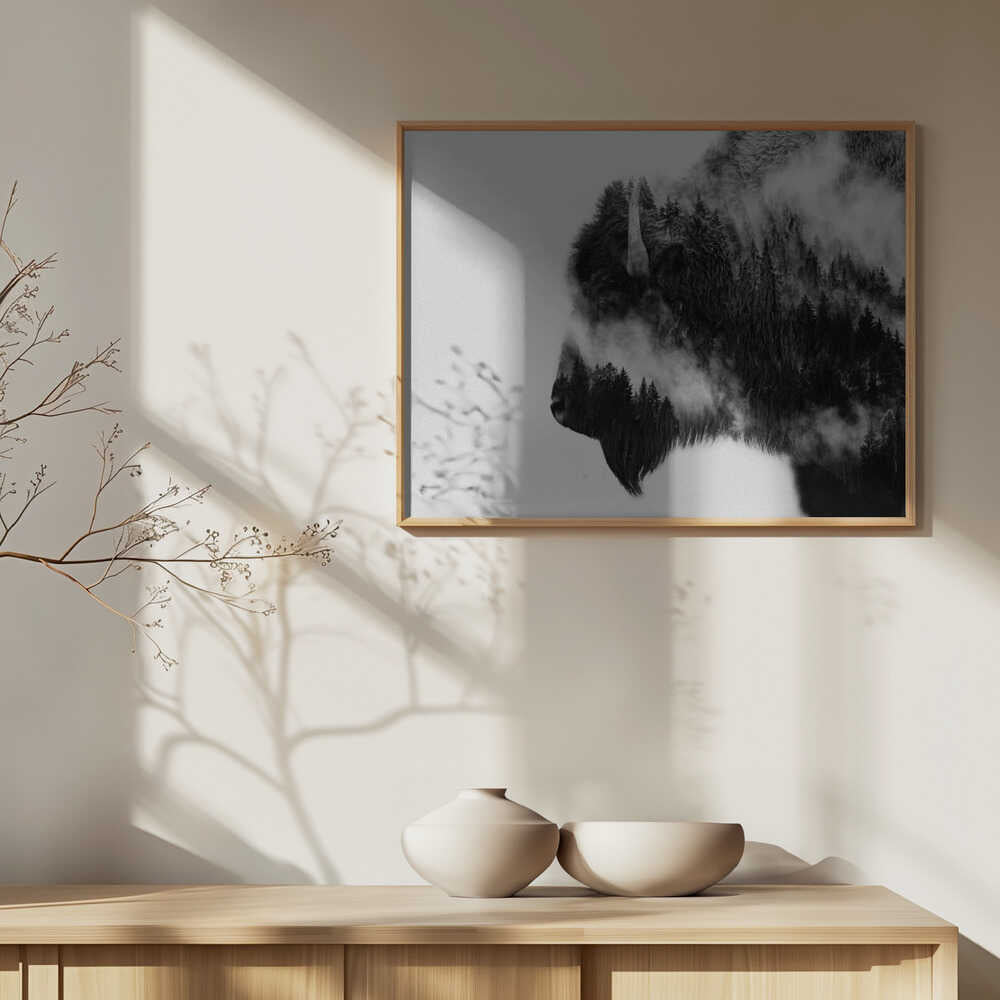 Skog & Bison