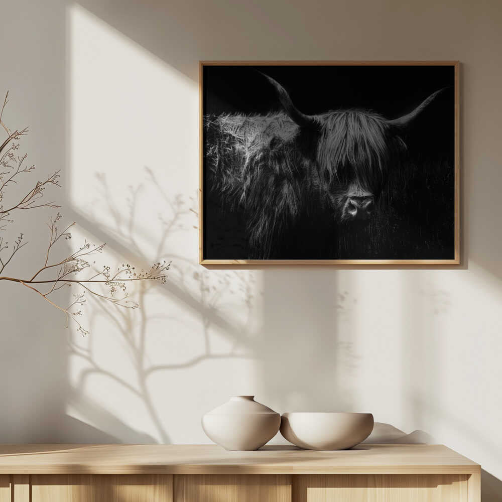 Highland Cow Porträtt