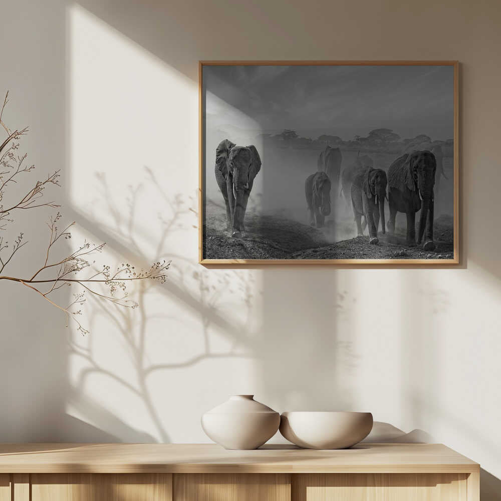 Elephants In Dust
