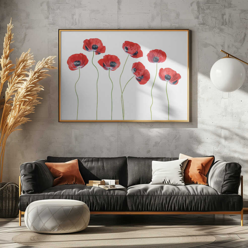 Ladybird Poppies