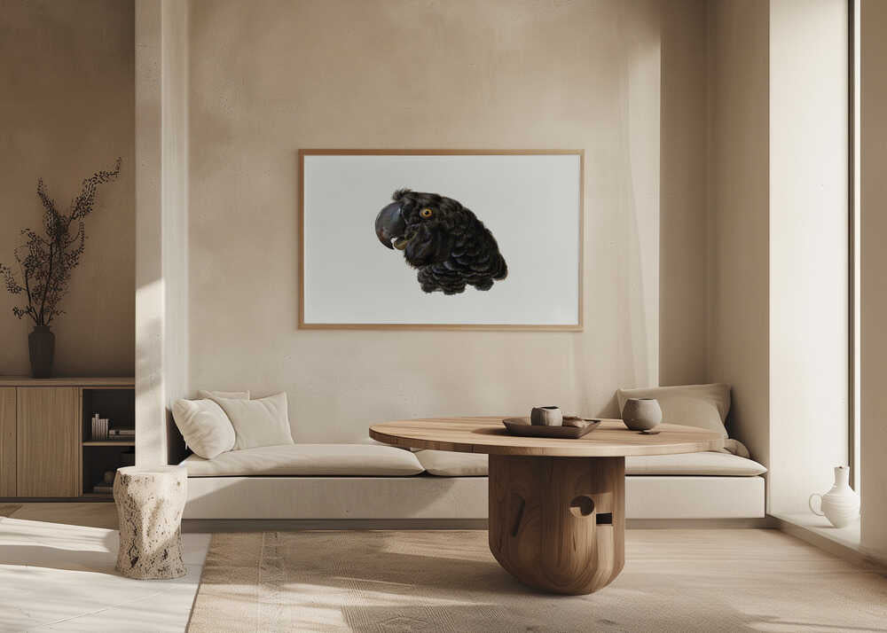 Cockatoo