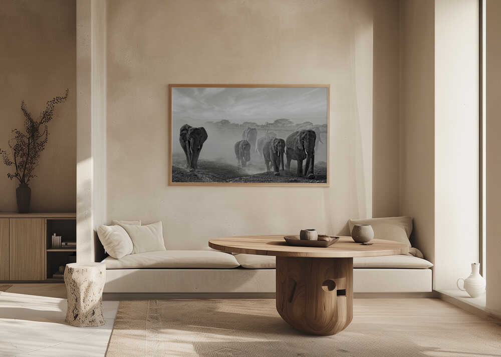 Elephants In Dust