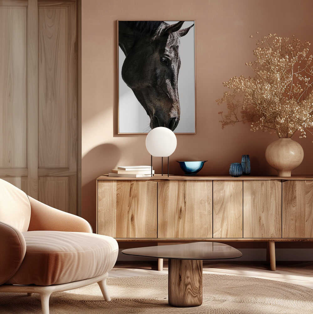 Gentle Equine Gaze