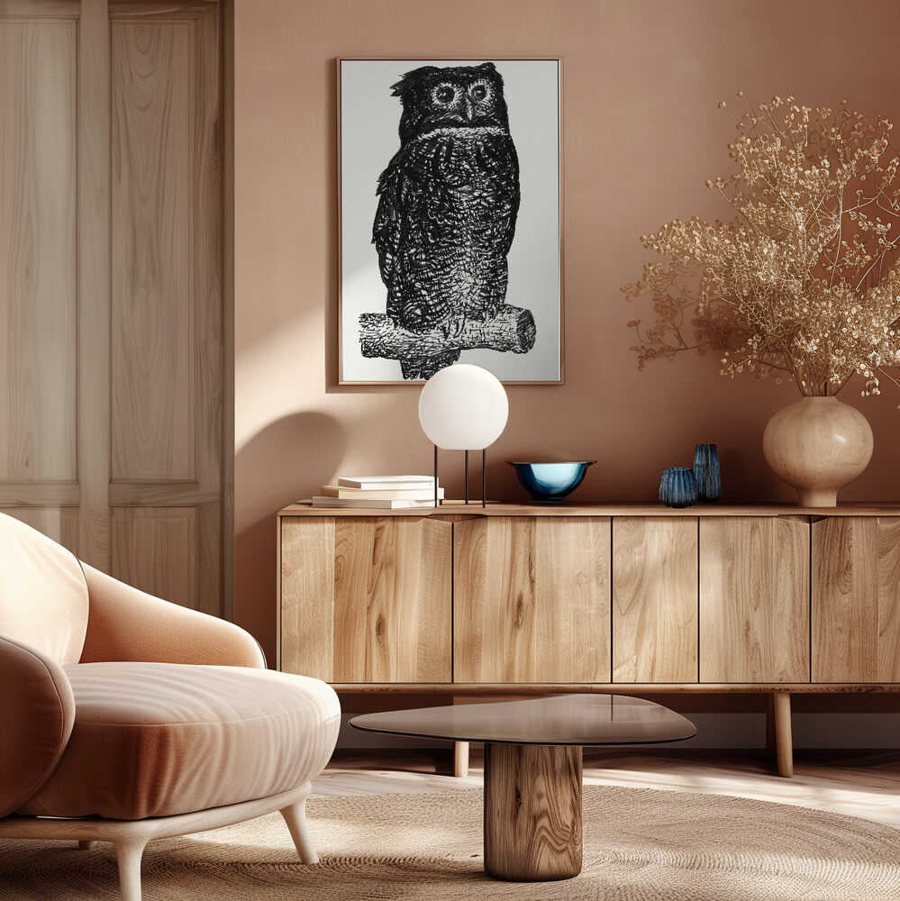 Owl