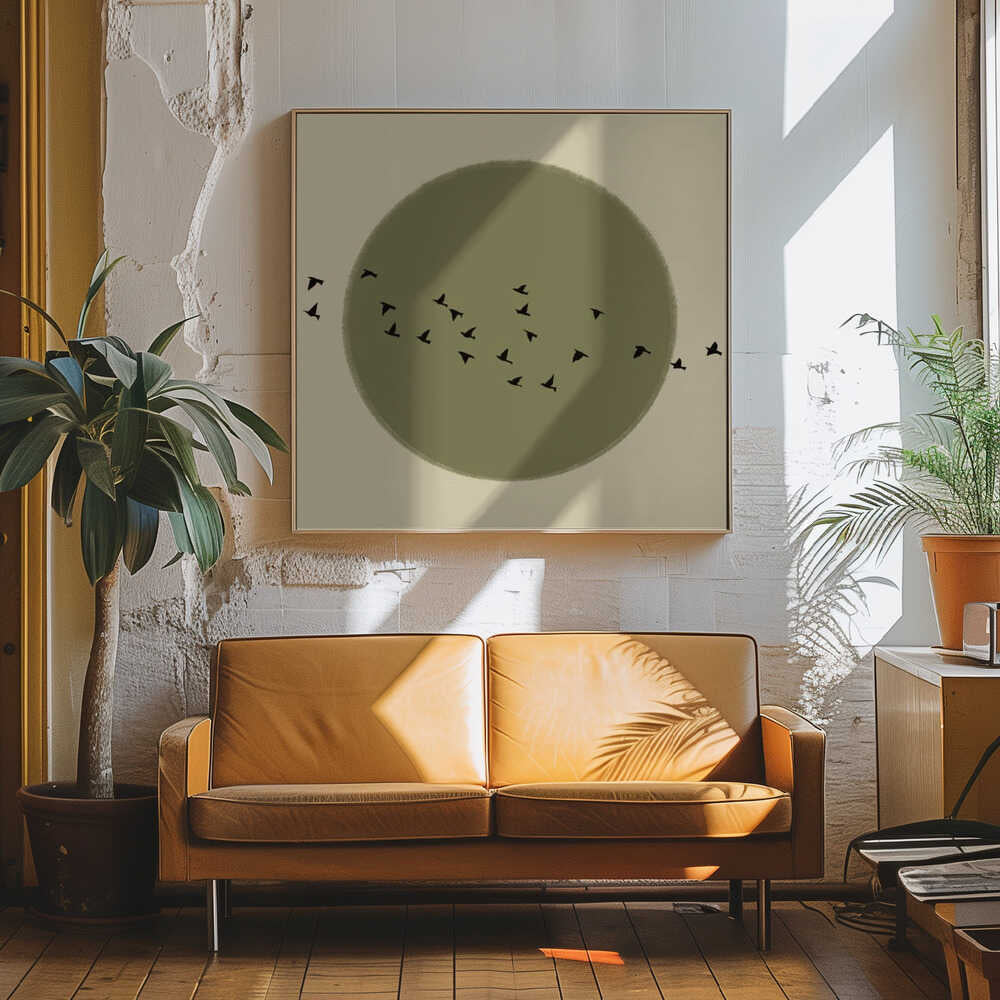 Graceful Birds Soaring
