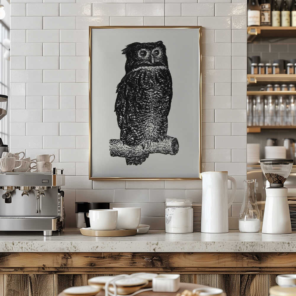 Owl