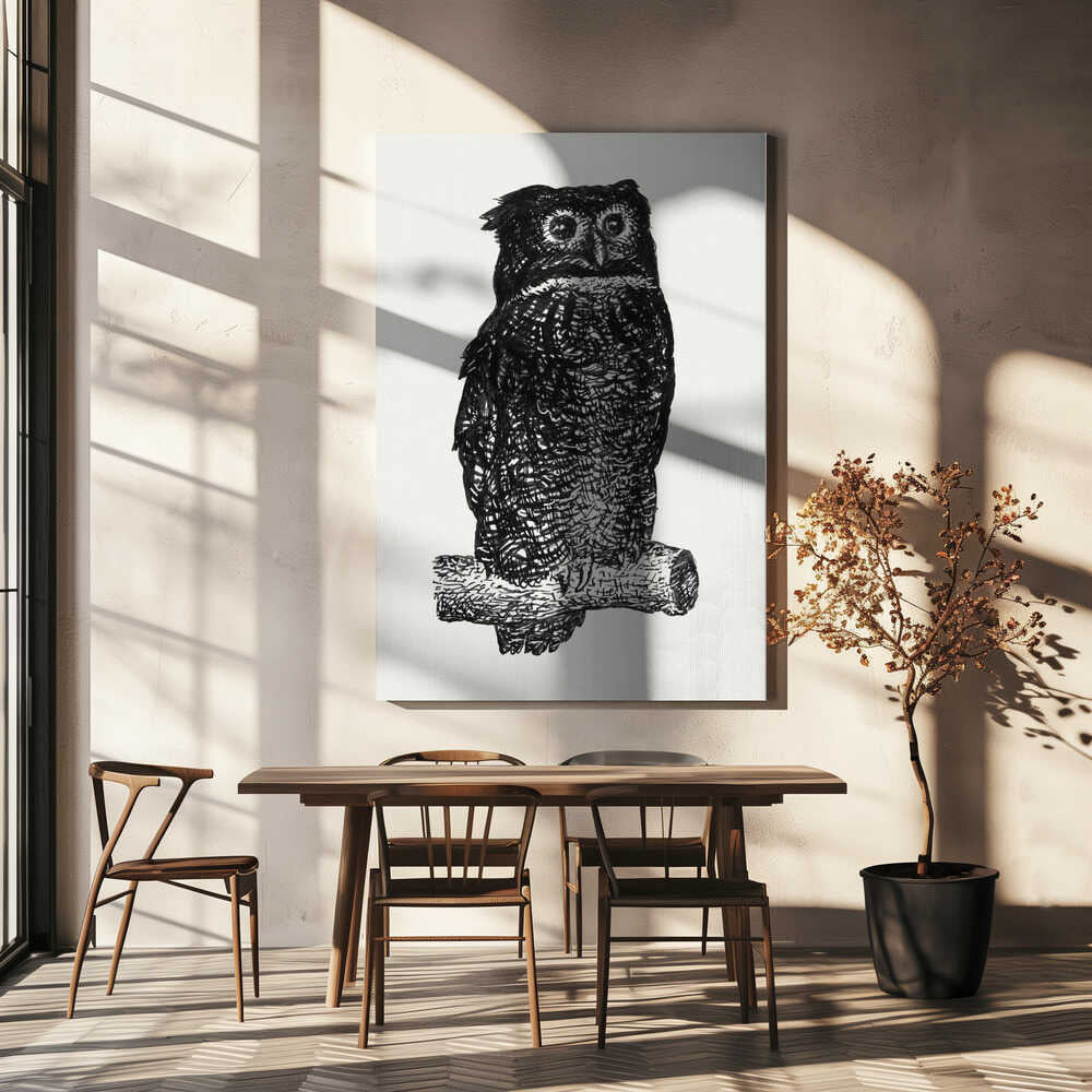 Owl