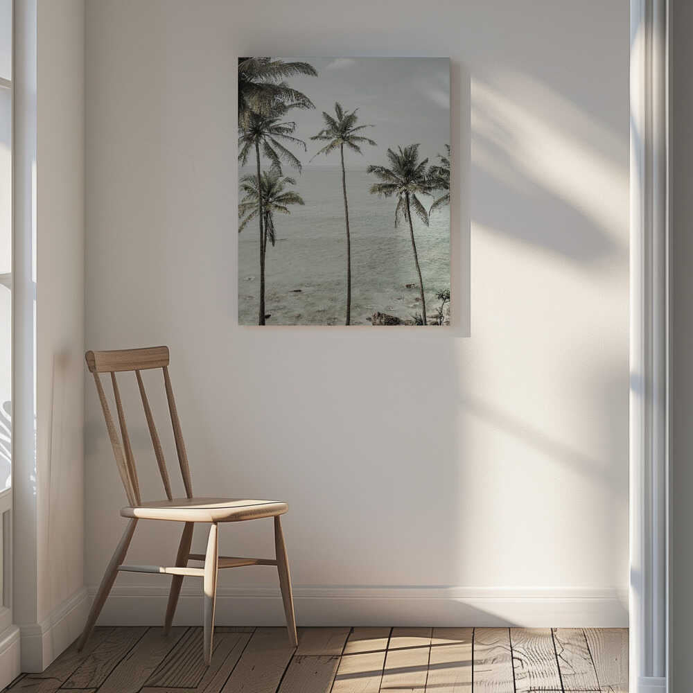 Tropical Dreams