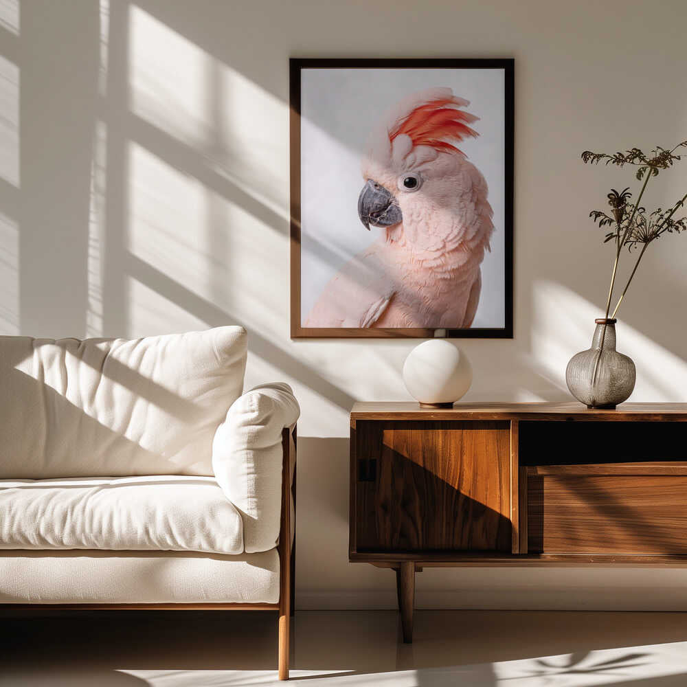 Majestic Salmon Cockatoo