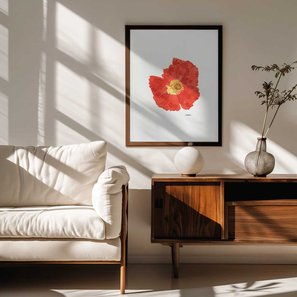 Single Red Poppy