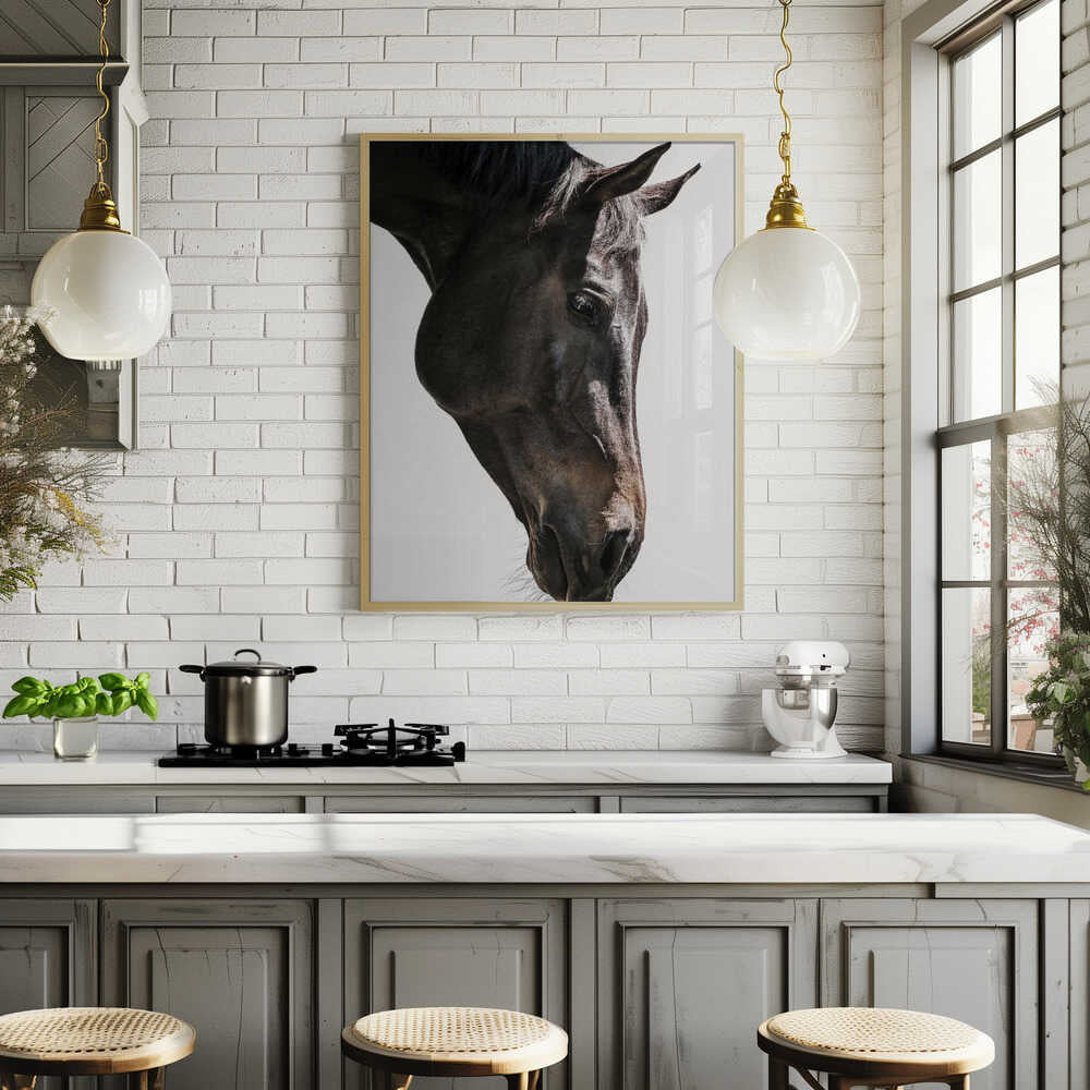 Gentle Equine Gaze