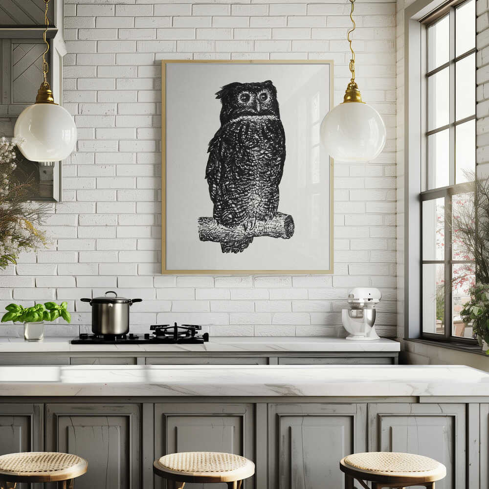 Owl