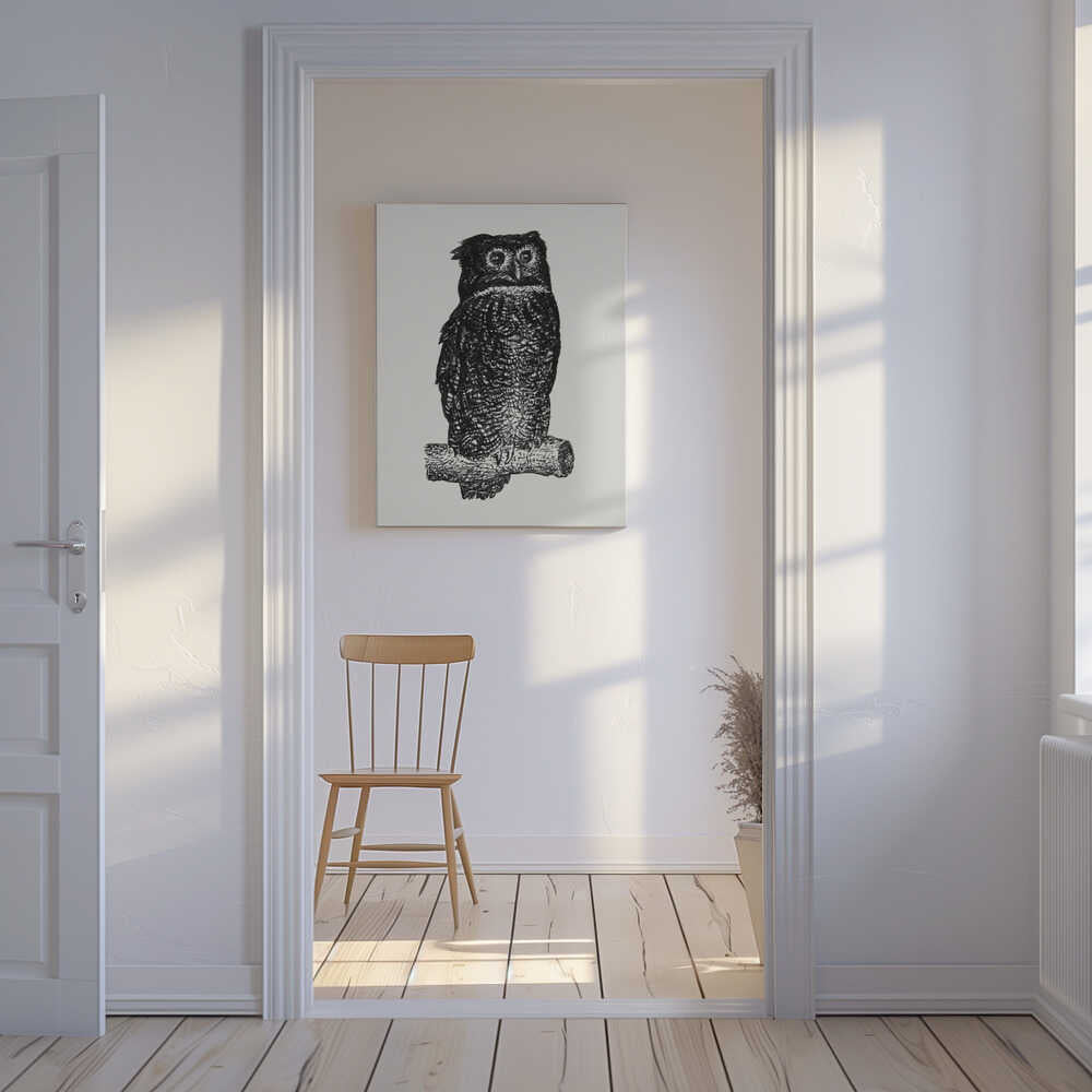 Owl