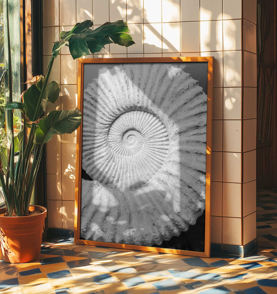 Spiral