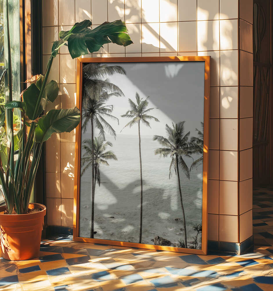 Tropical Dreams