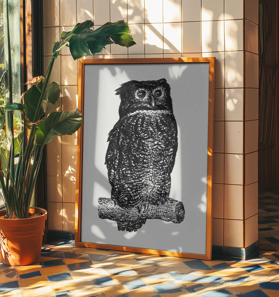 Owl