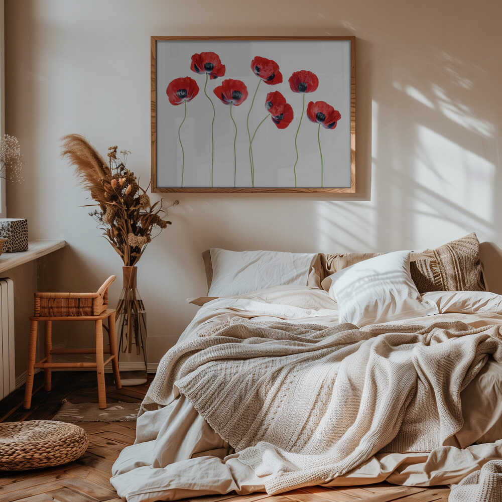 Ladybird Poppies