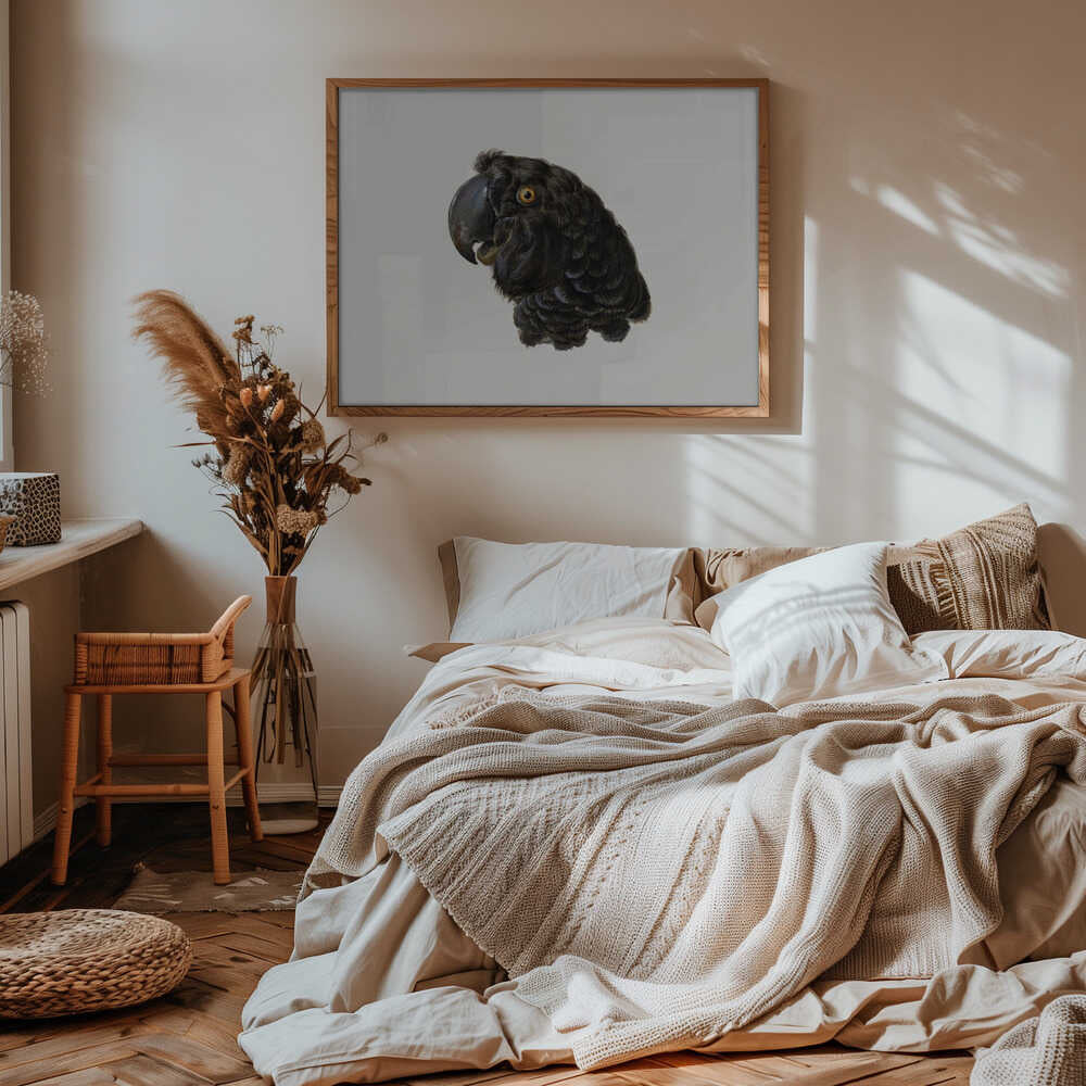 Cockatoo