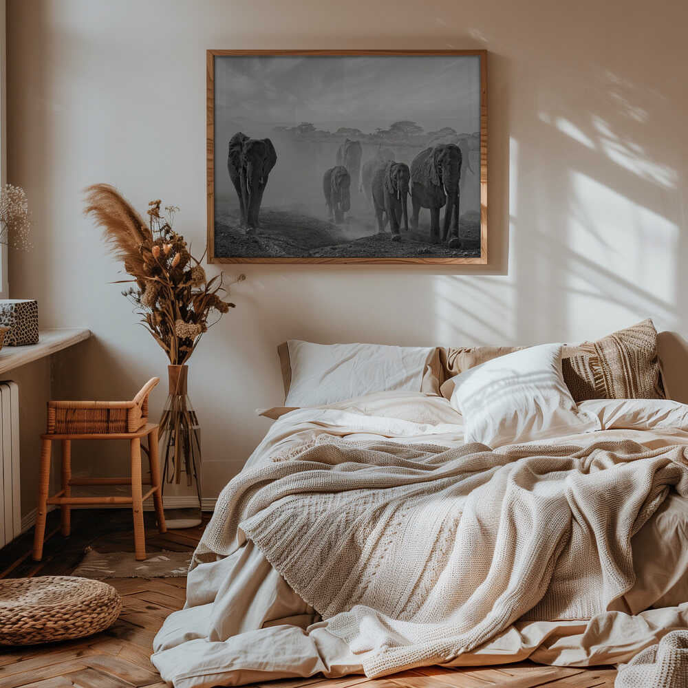 Elephants In Dust