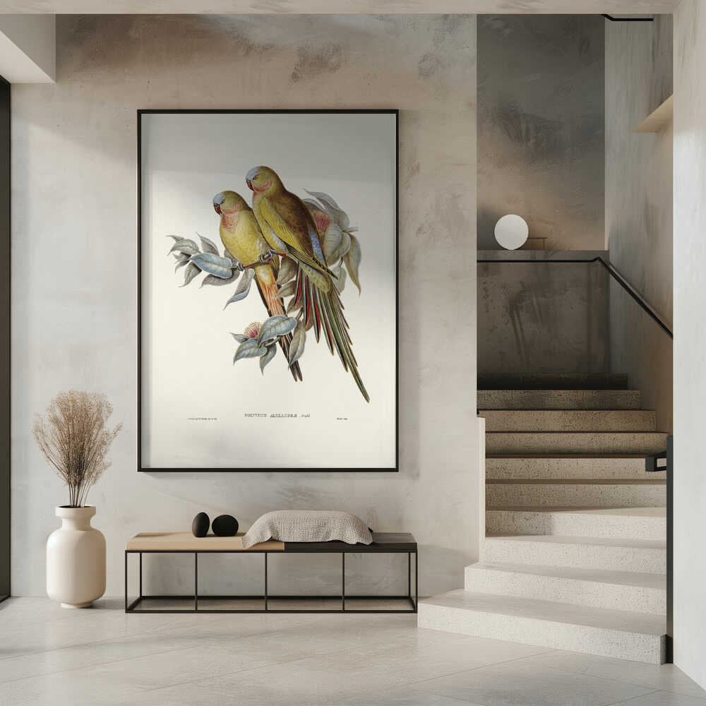 The Princess of Wales's Parakeet3