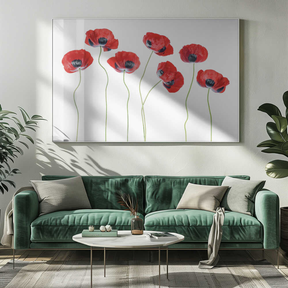 Ladybird Poppies