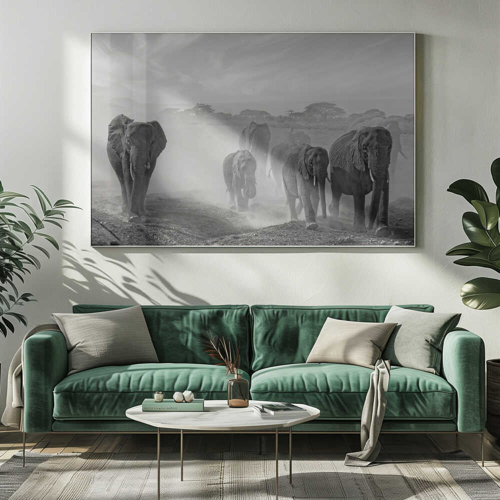Elephants In Dust