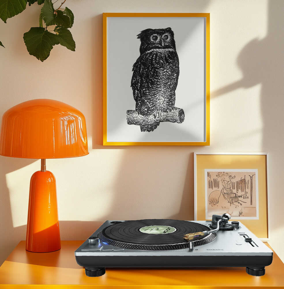 Owl