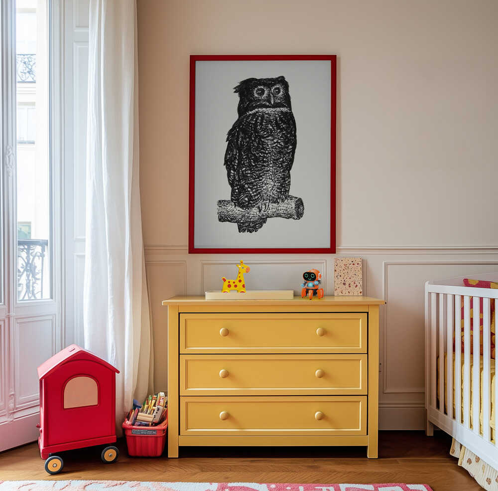 Owl