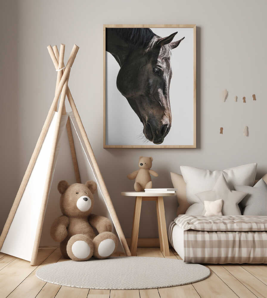 Gentle Equine Gaze