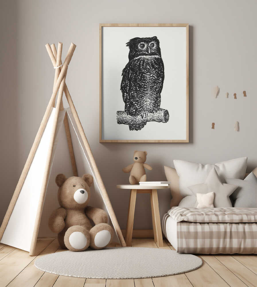 Owl