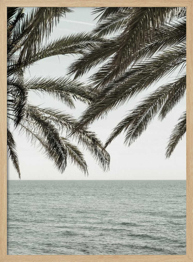 Tropical Ocean Palms