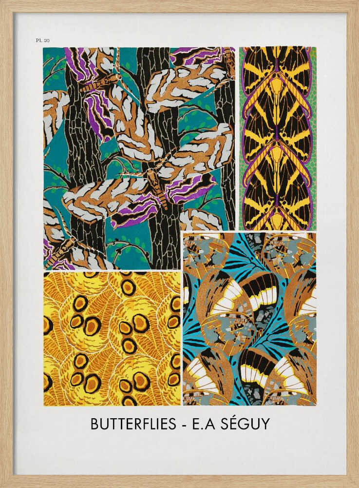 Butterflies 20