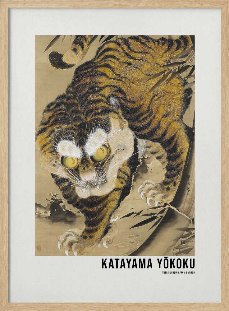 Tiger Emerging From Bamboo