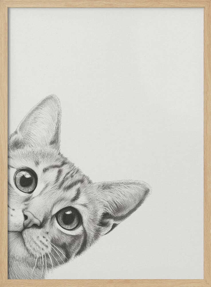 Nyfiken katt