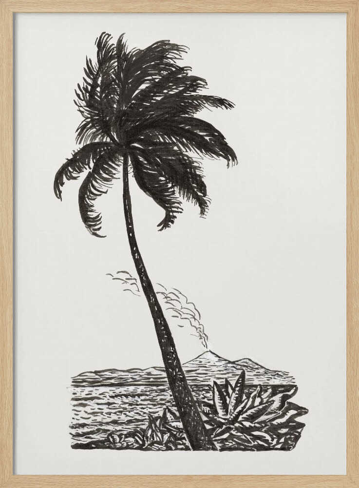Palm Tree With an Island (ca. 1891–1941)