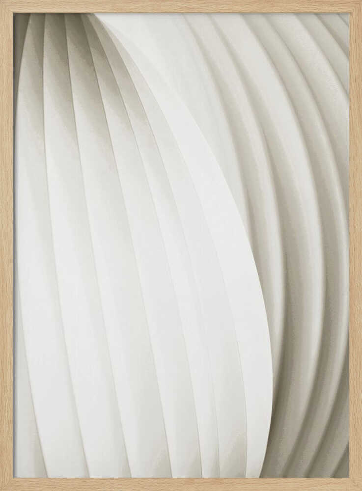 Soft Curves
