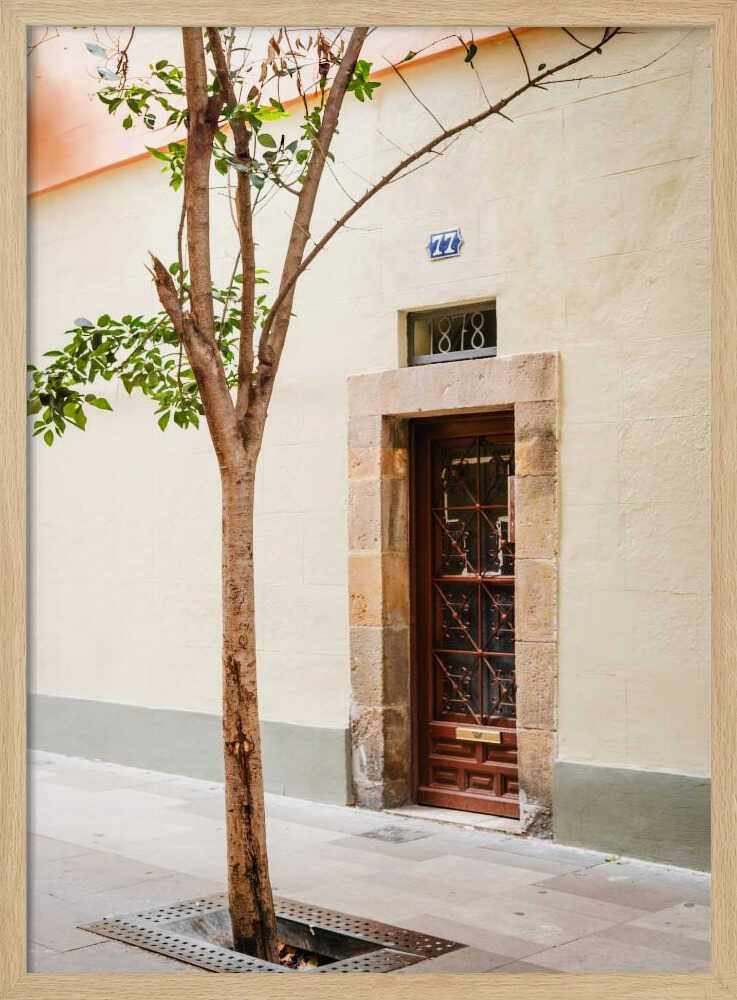 Rustic Doorway Tree