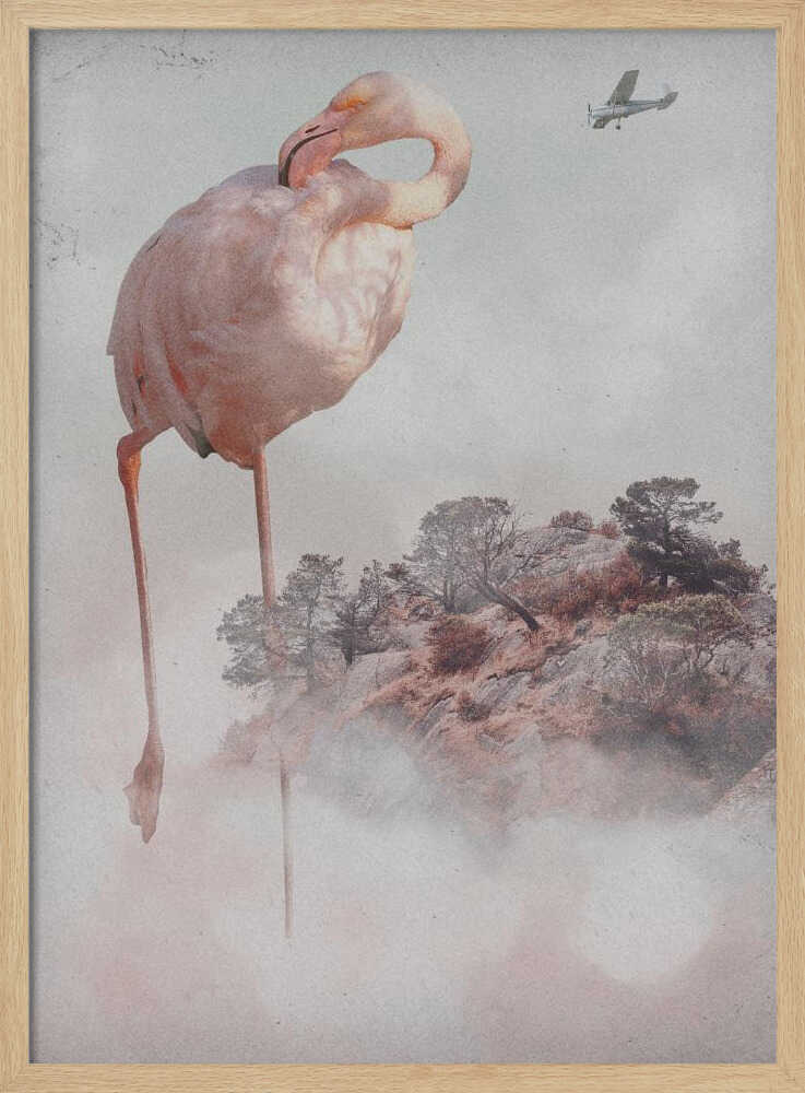 Floating Flamingo Island