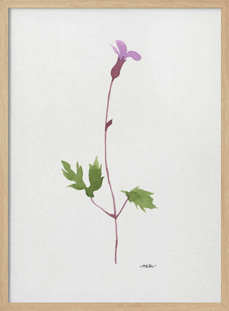 Delicate Purple Bloom