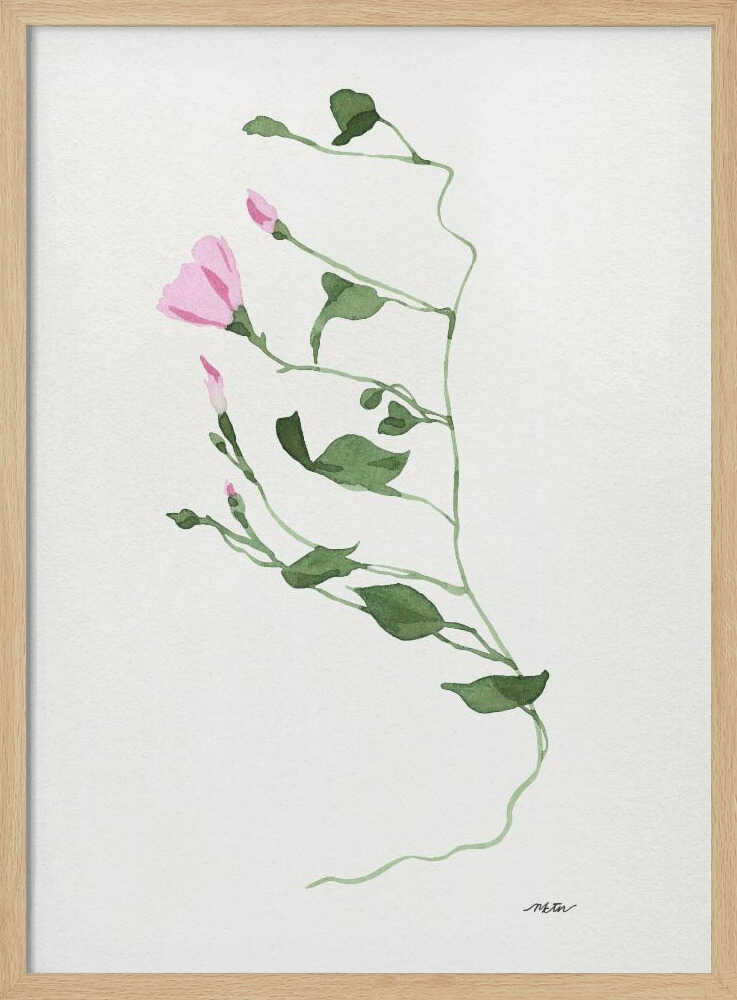 Graceful Pink Stem
