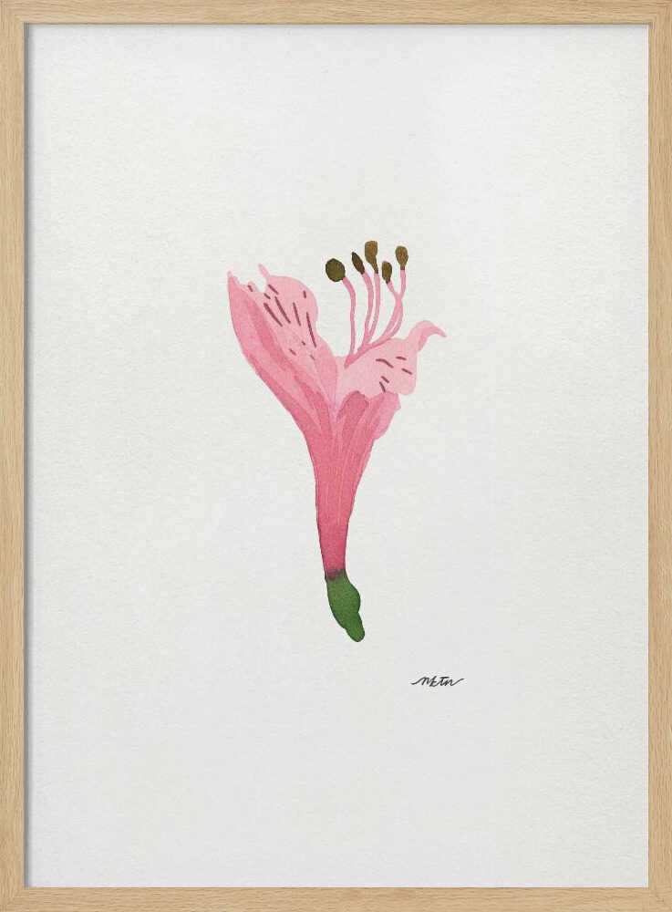 Soft Pink Blossom
