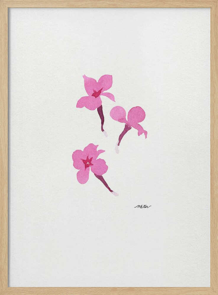Delicate Pink Flowers