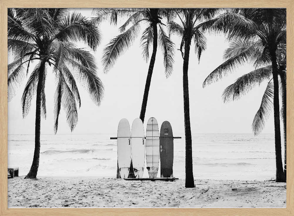The Boards