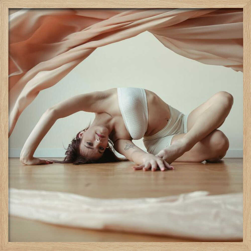Graceful Dance Pose
