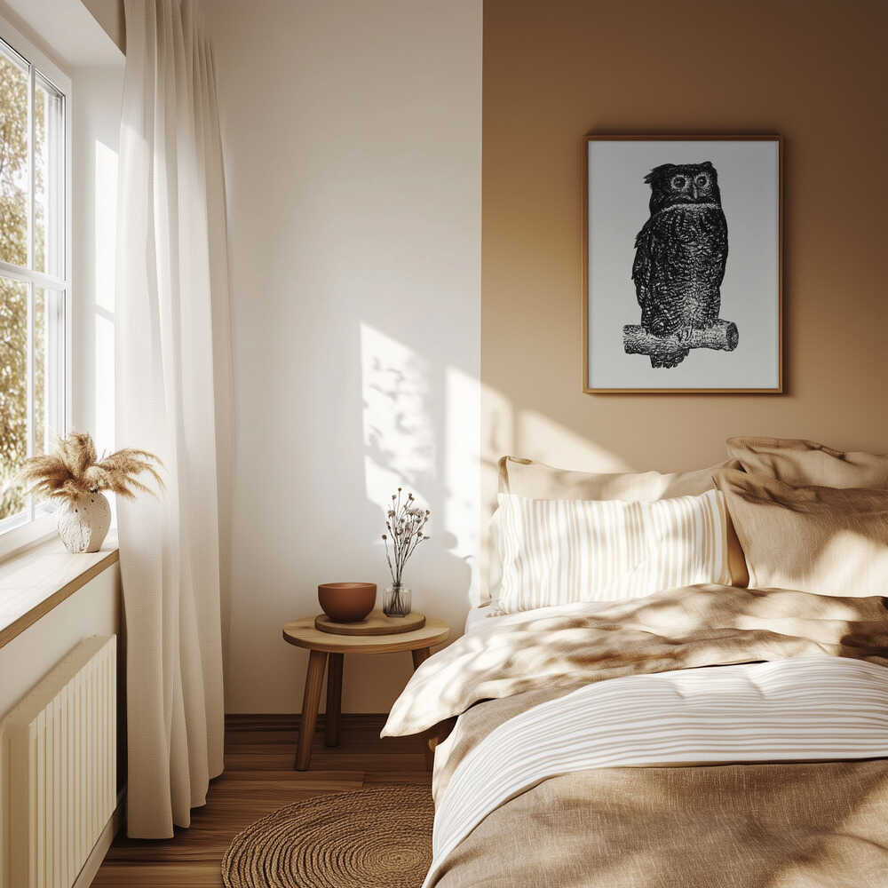 Owl