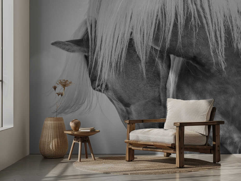 Haflinger Portrait II
