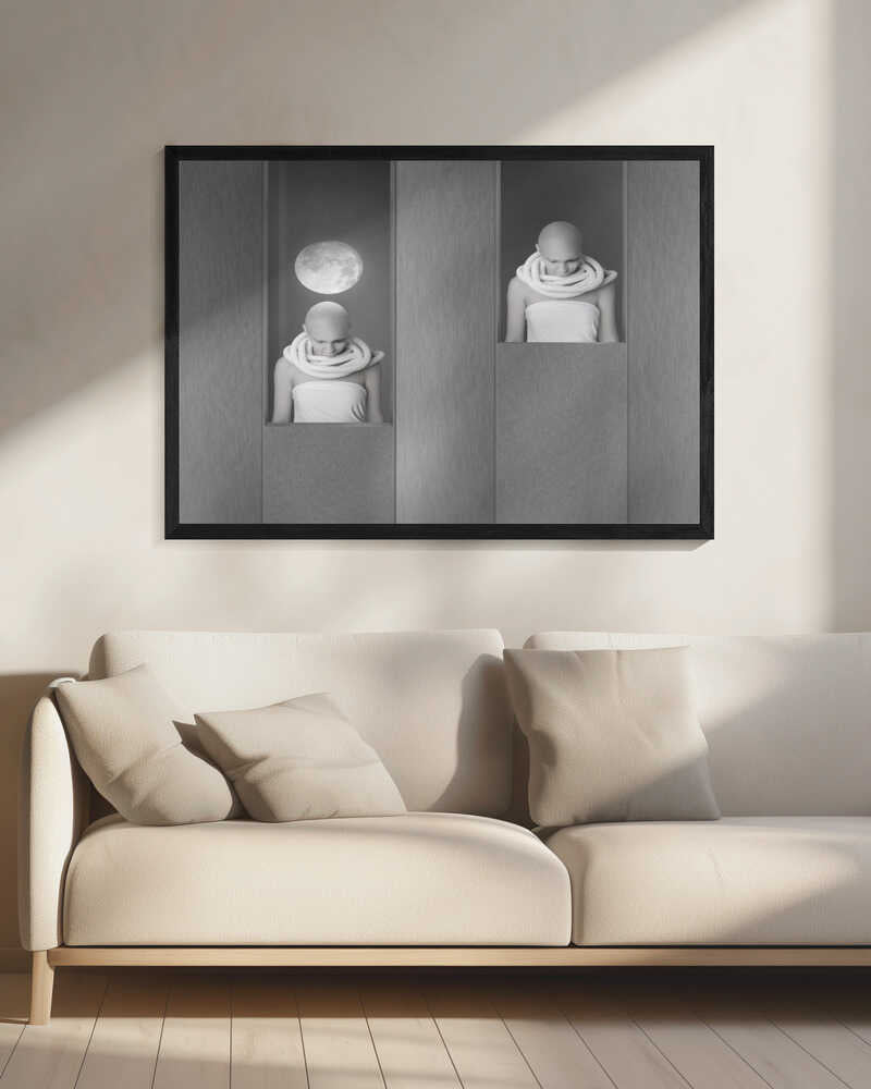 Moonlit Contemplation