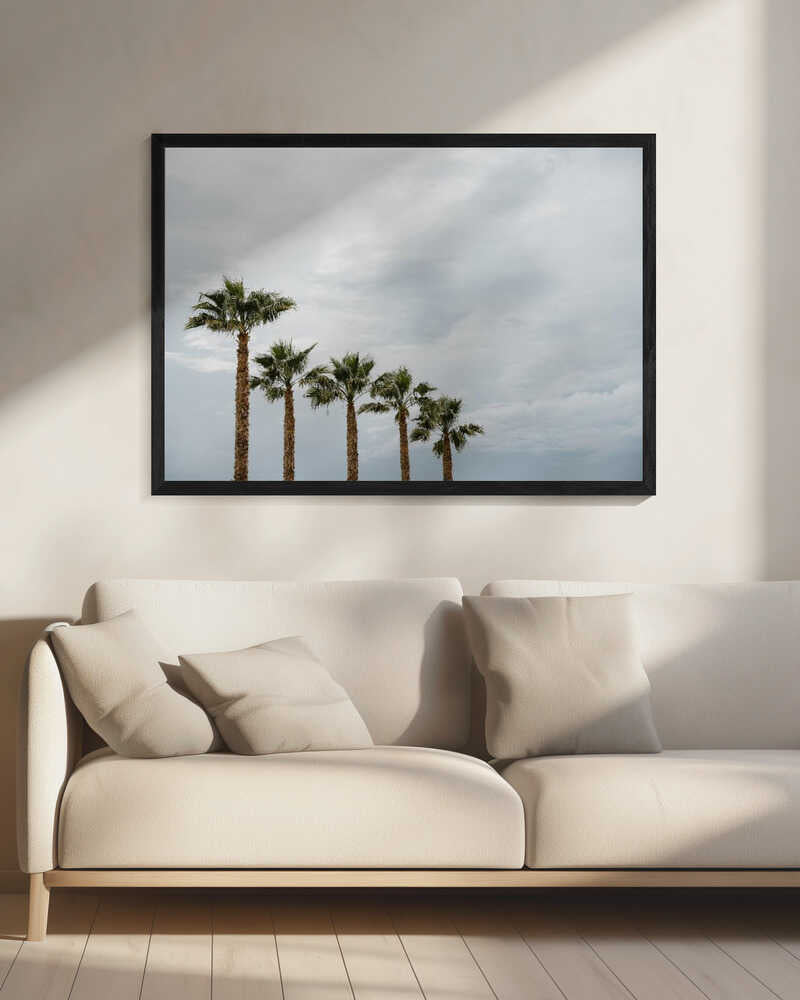 Palm Line Under Clouds